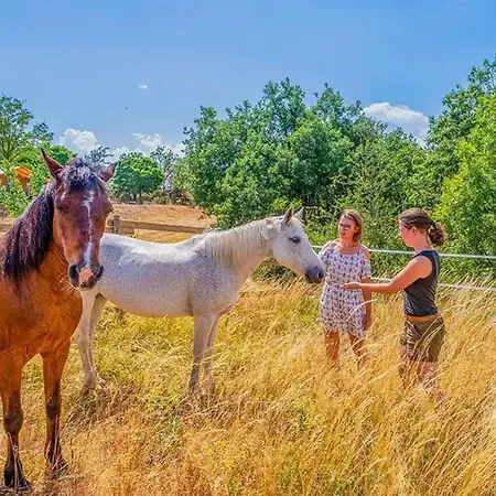 Campingplads Accueillant Animaux - 5 Pers. - Api-1-52-2569 Arras-sur-Rhone